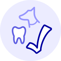 Toothcheck Icon
